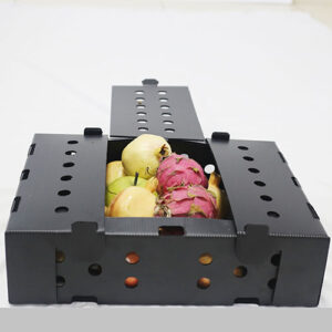 Coroplast fruits/vegetables Okra Packaging Box