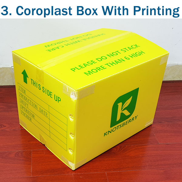 3.-Coroplast-Box-With-Printing