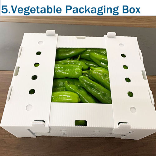 5.Vegetable-Packaging-Box