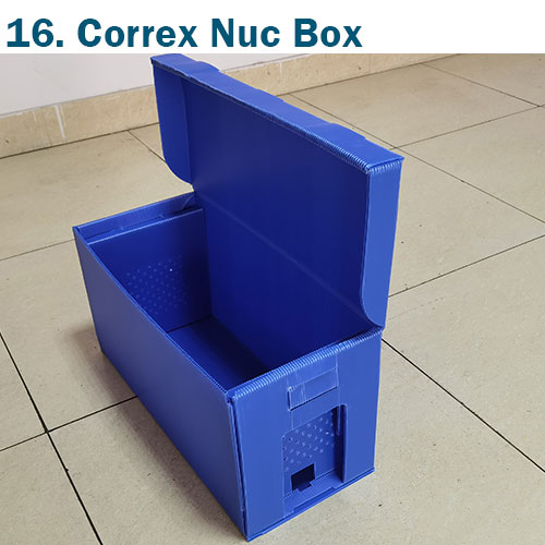 Correx-bee-box