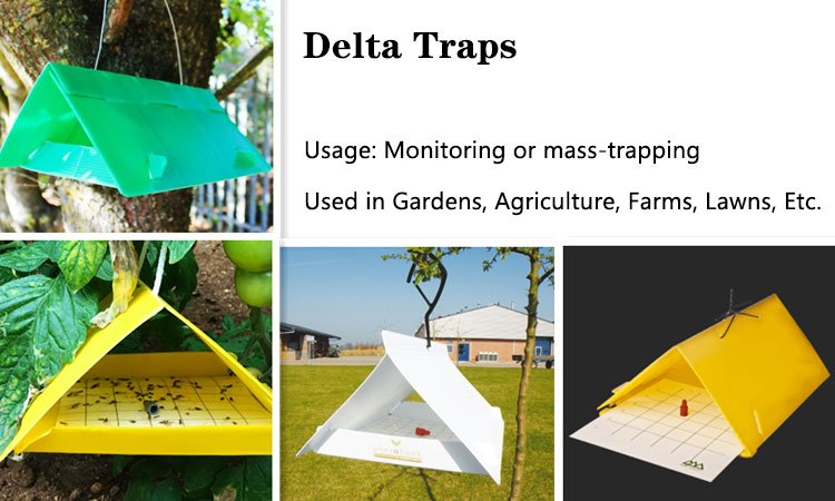 plastic delta traps