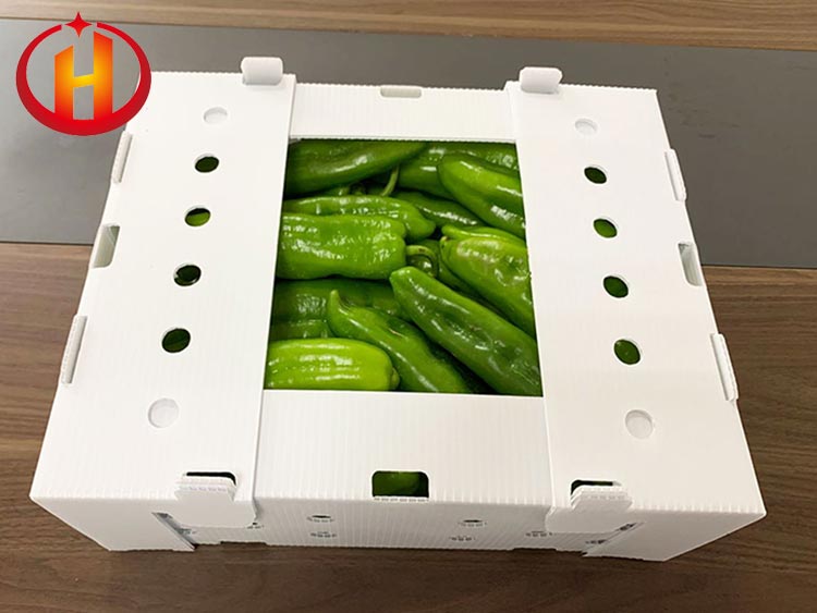 correx box for packaging vegetables