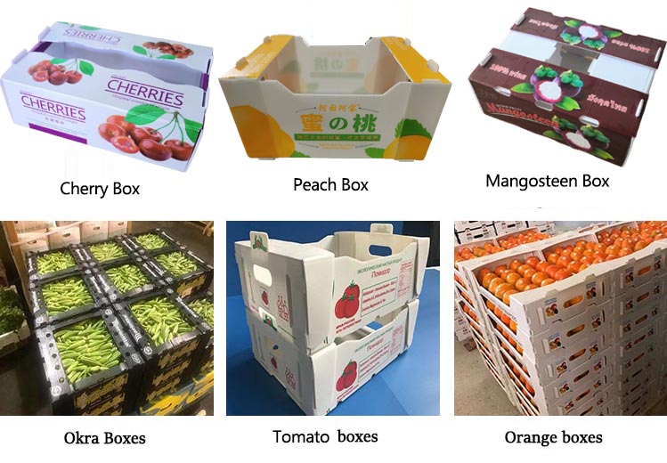 corrugated plastic packaging box