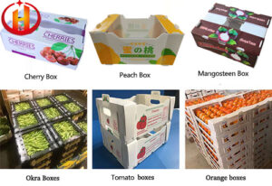 corrugated plastic packaging boxes for fruits and vegetables