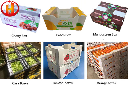 Corrugated pp boxes for fruits and vegetables