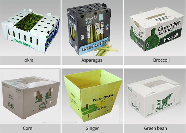 vegetables corrugated plastic packaging boxes