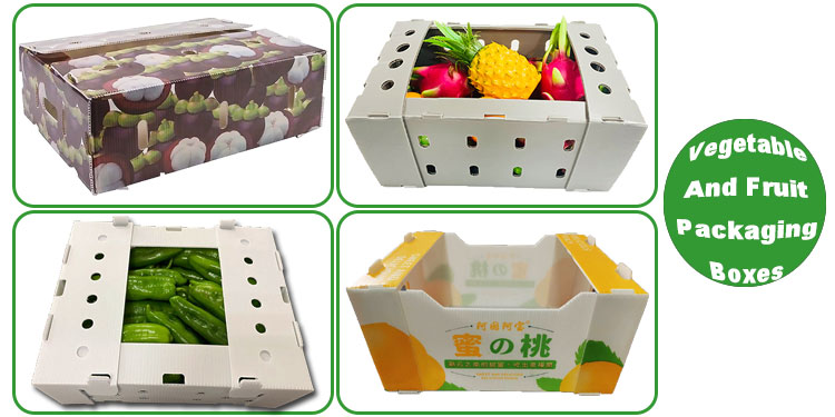 pp-corrugated-plastic-packaging-boxes-5