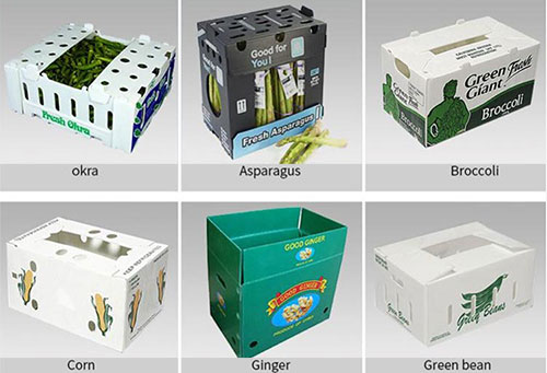 Cost-effective Pp Corrugated Bins