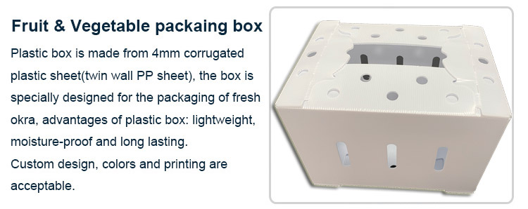 white-corrugated-plastic-box
