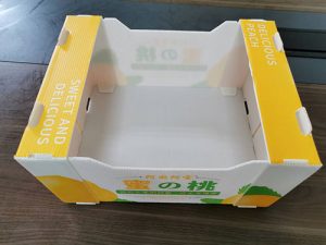 Corrugated plastic fruit and vegetable packaging boxes
